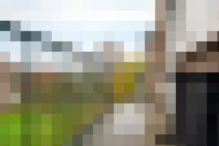 Germanenlaan 196 Apeldoorn thumbnail 19