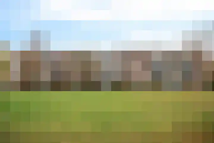 Germanenlaan 196 Apeldoorn thumbnail 31