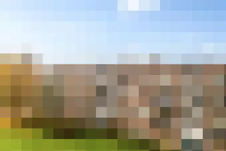 Germanenlaan 196 Apeldoorn thumbnail 34