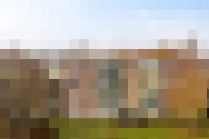 Germanenlaan 196 Apeldoorn thumbnail 35