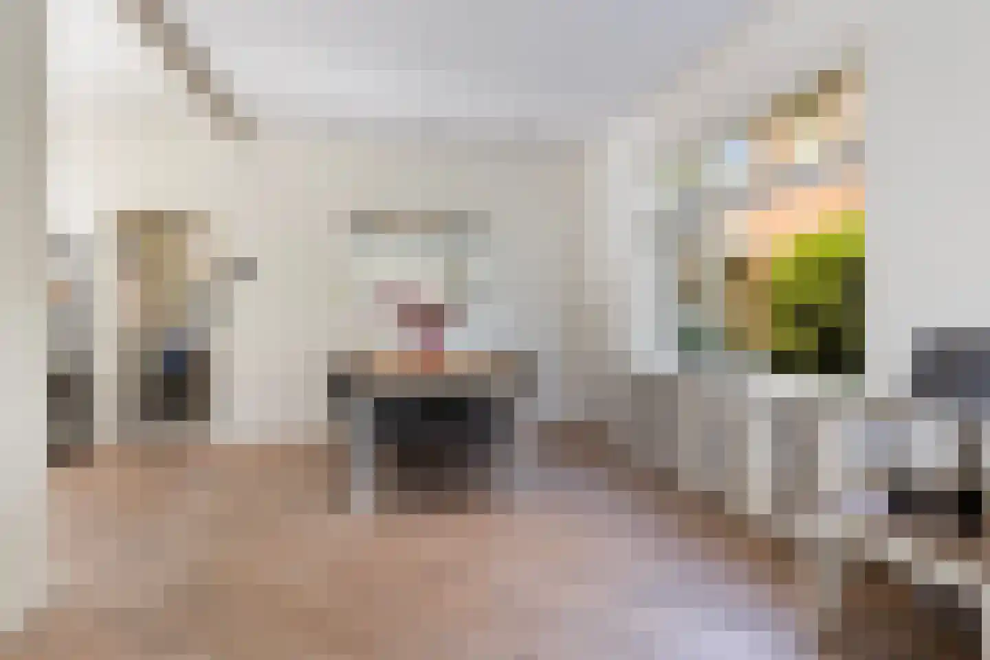 Germanenlaan 22 Apeldoorn thumbnail 21