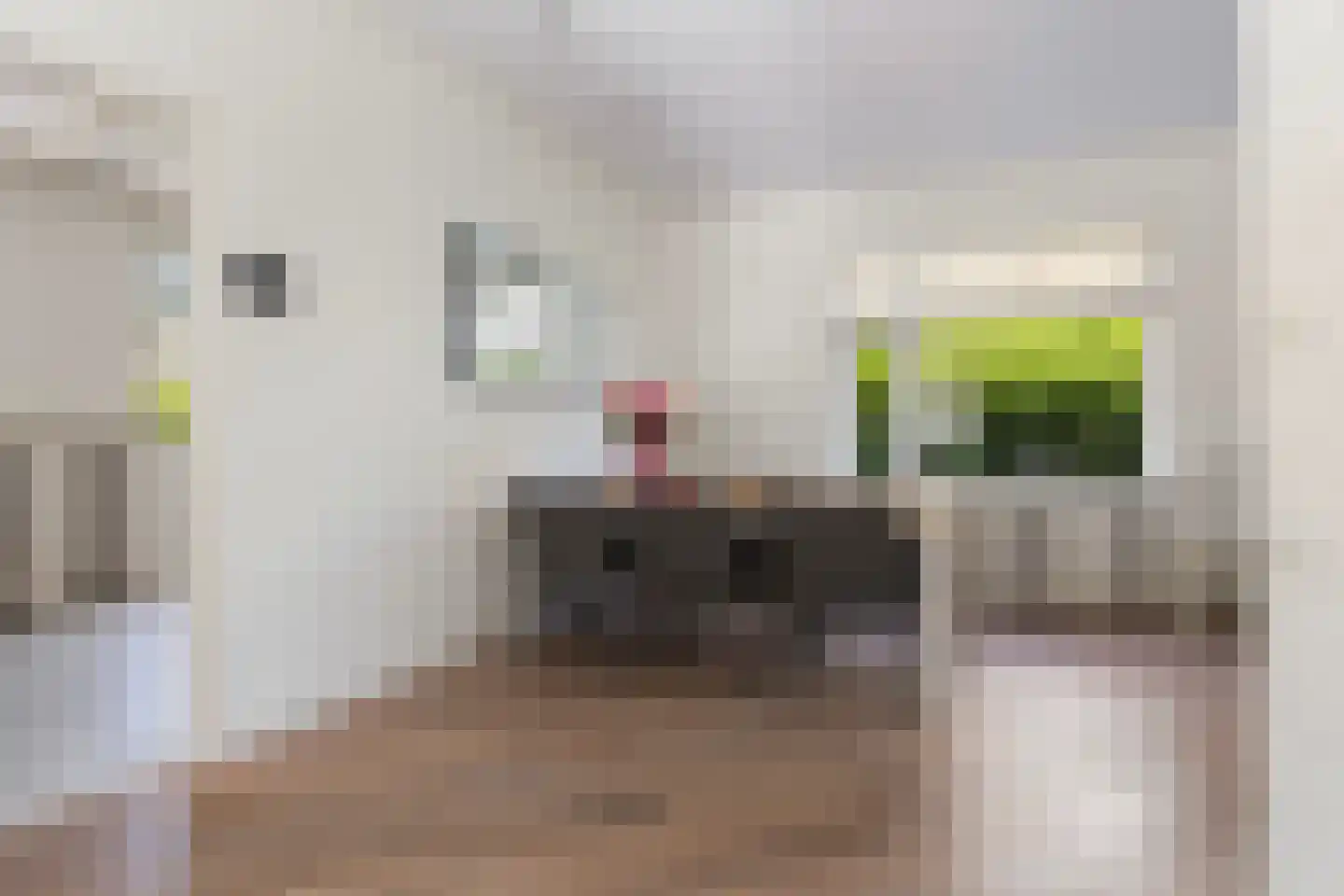 Germanenlaan 22 Apeldoorn thumbnail 22