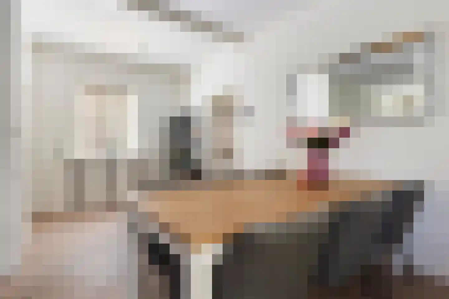 Germanenlaan 22 Apeldoorn thumbnail 23