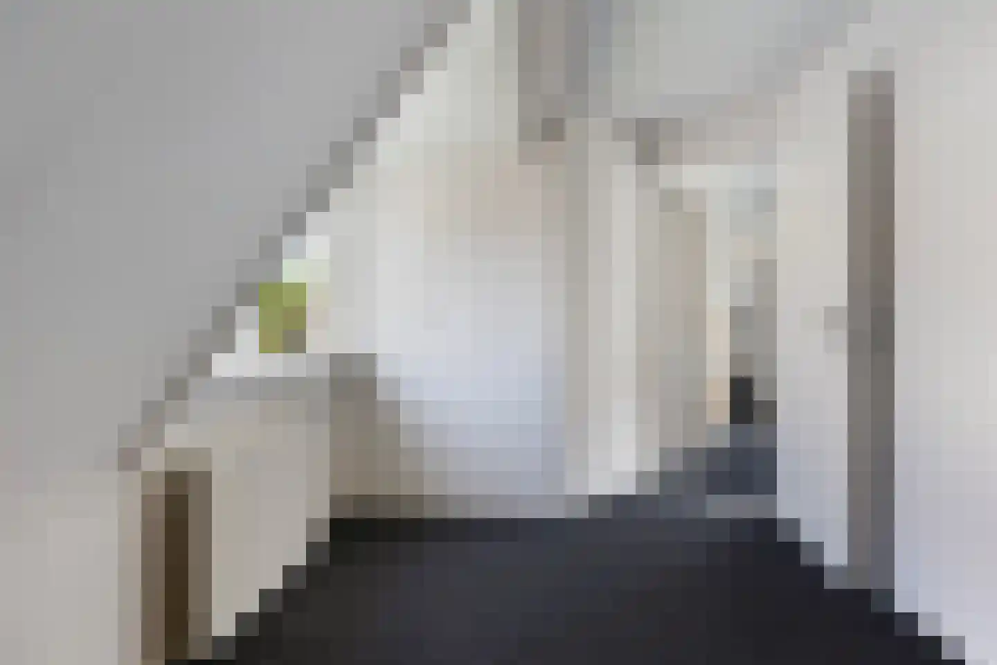 Germanenlaan 22 Apeldoorn thumbnail 31