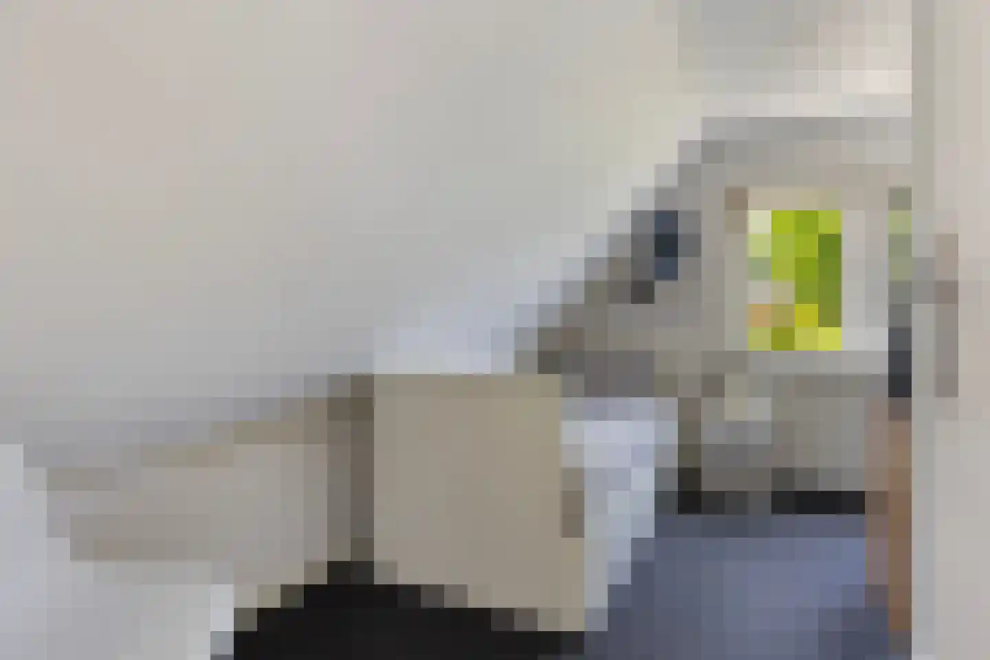 Germanenlaan 22 Apeldoorn thumbnail 32