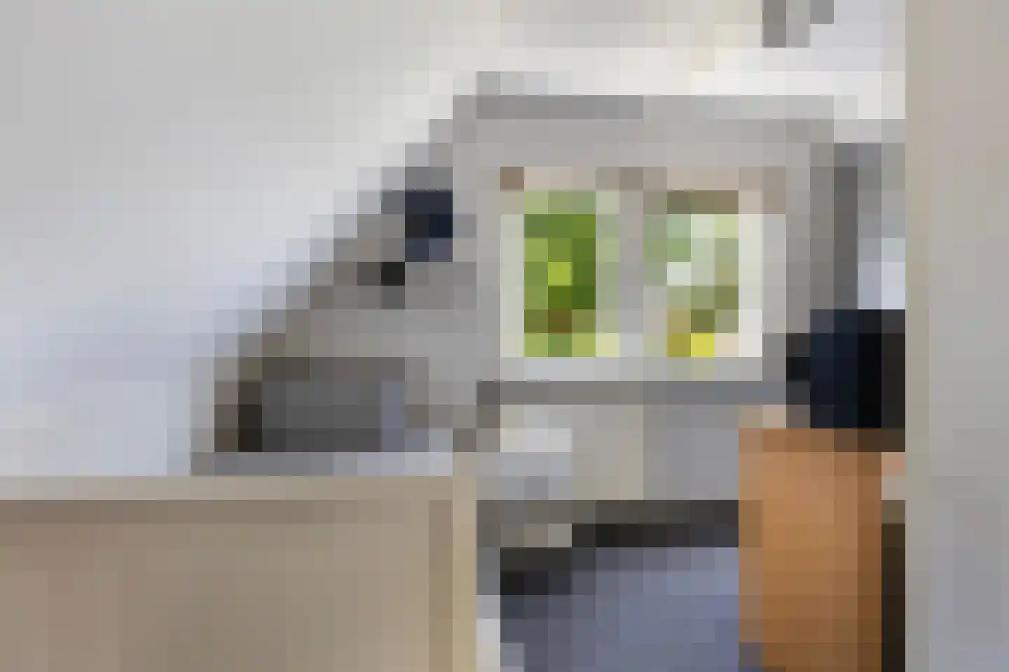 Germanenlaan 22 Apeldoorn thumbnail 35