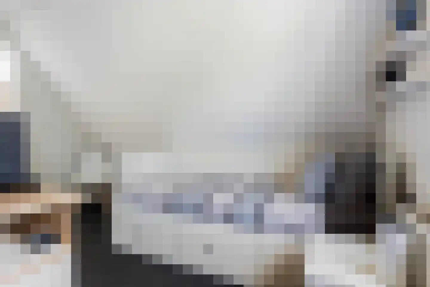 Germanenlaan 22 Apeldoorn thumbnail 40