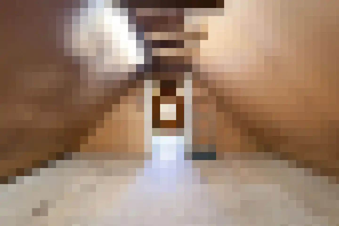 Germanenlaan 22 Apeldoorn thumbnail 47