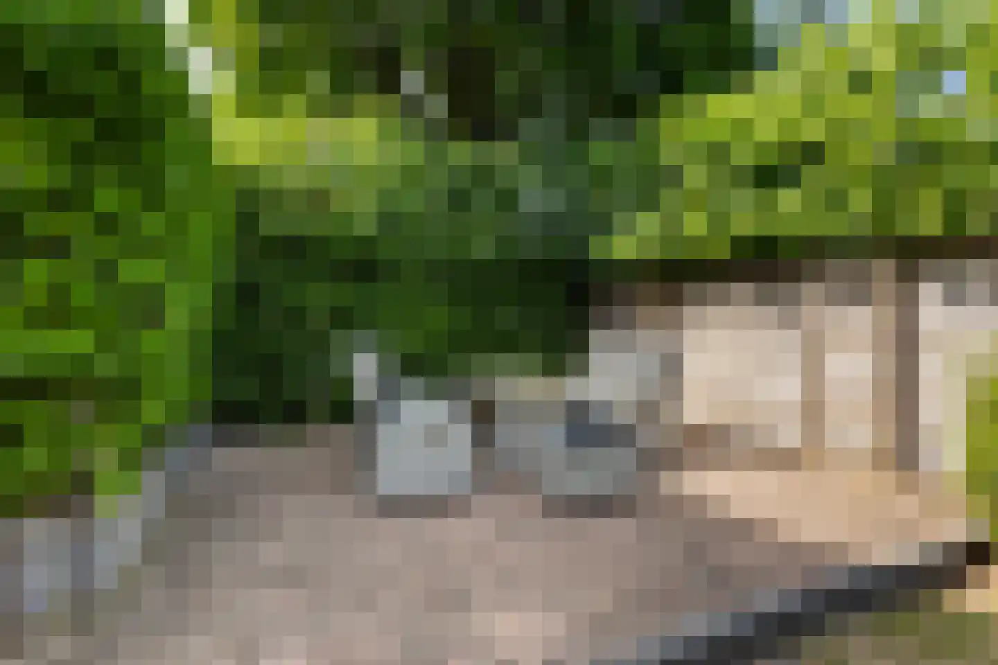 Germanenlaan 22 Apeldoorn thumbnail 51