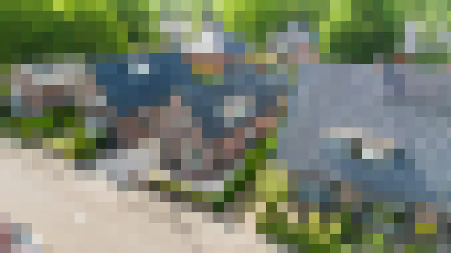 Germanenlaan 22 Apeldoorn thumbnail 58