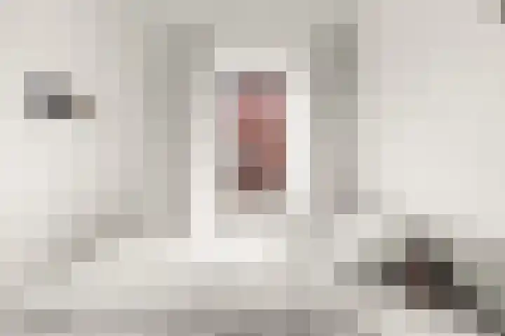 Germanicusweg 1 De Meern thumbnail 22