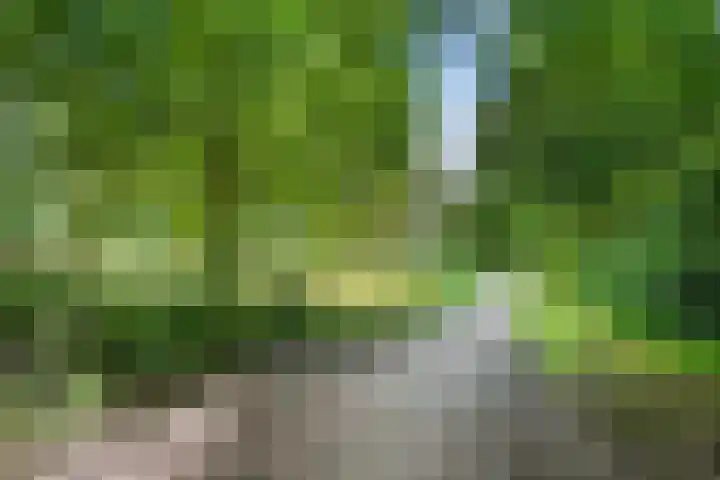 Germanicusweg 1 De Meern thumbnail 38