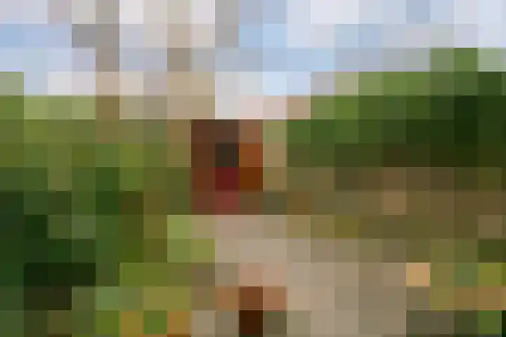 Germanicusweg 4 De Meern thumbnail 12