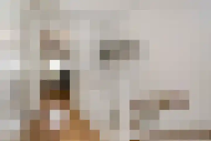 Germanicusweg 4 De Meern thumbnail 17