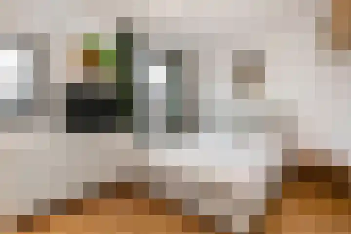 Germanicusweg 4 De Meern thumbnail 19