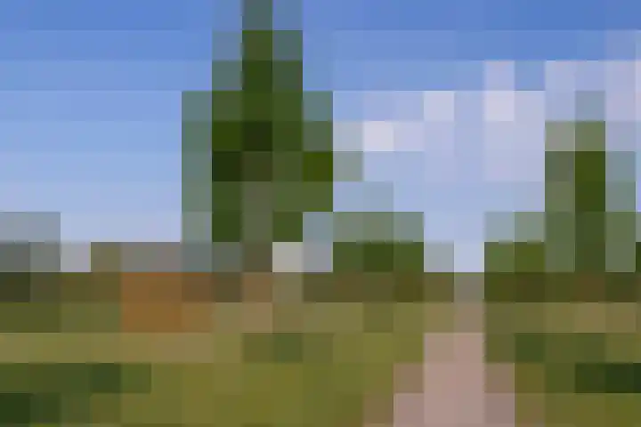 Germanicusweg 4 De Meern thumbnail 38
