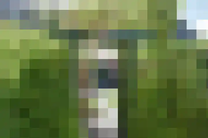 Germondylaan 18 Nooitgedacht thumbnail 25