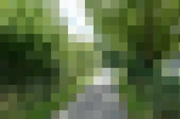 Germondylaan 18 Nooitgedacht thumbnail 28