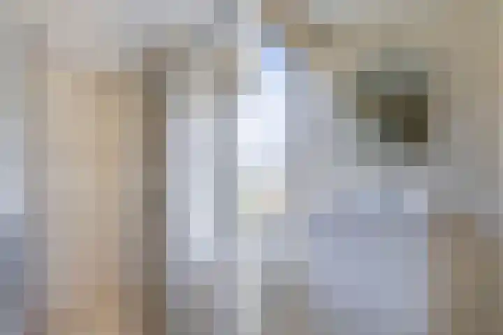 Gernaerd 15 Drachten thumbnail 17
