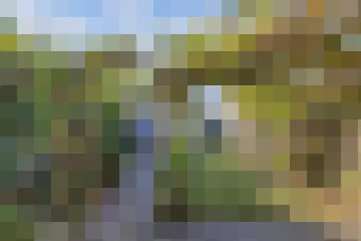 Gernaerd 15 Drachten thumbnail 22