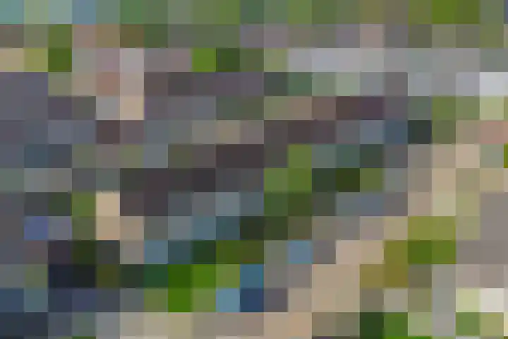 Gernaerd 15 Drachten thumbnail 26