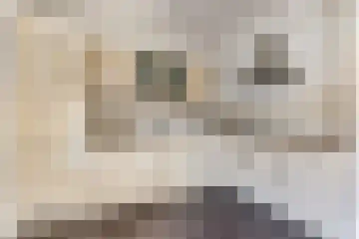 Gernaerd 15 Drachten thumbnail 6