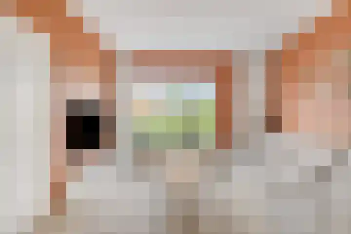 Gernaerd 21 Drachten thumbnail 10