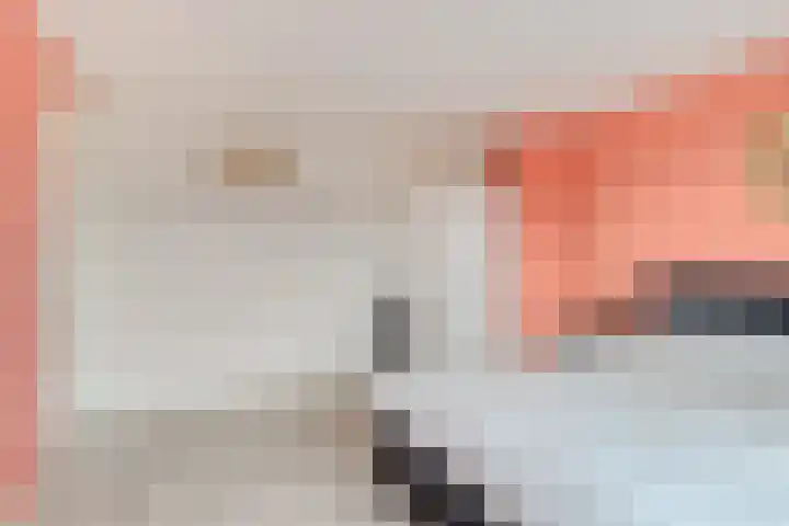 Gernaerd 21 Drachten thumbnail 23