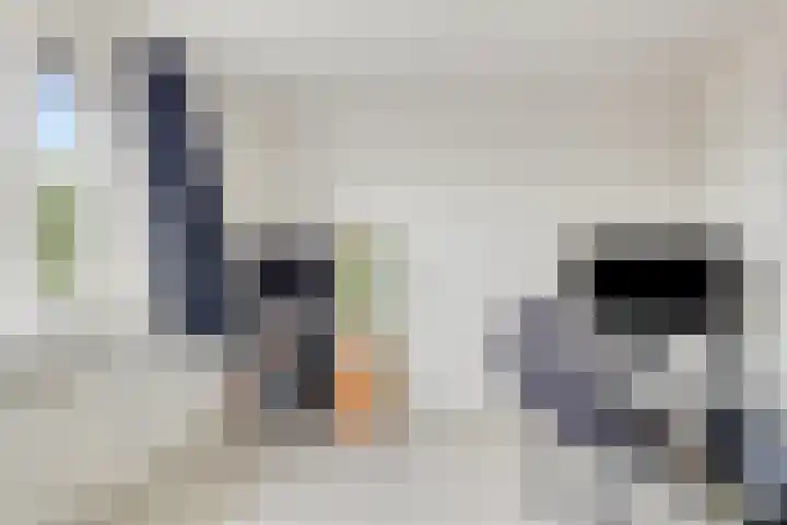 Gernaerd 21 Drachten thumbnail 27