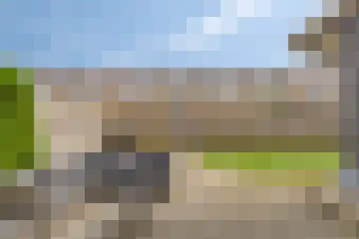 Gernaerd 21 Drachten thumbnail 37