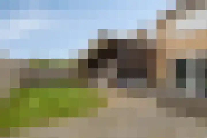 Gernaerd 21 Drachten thumbnail 41