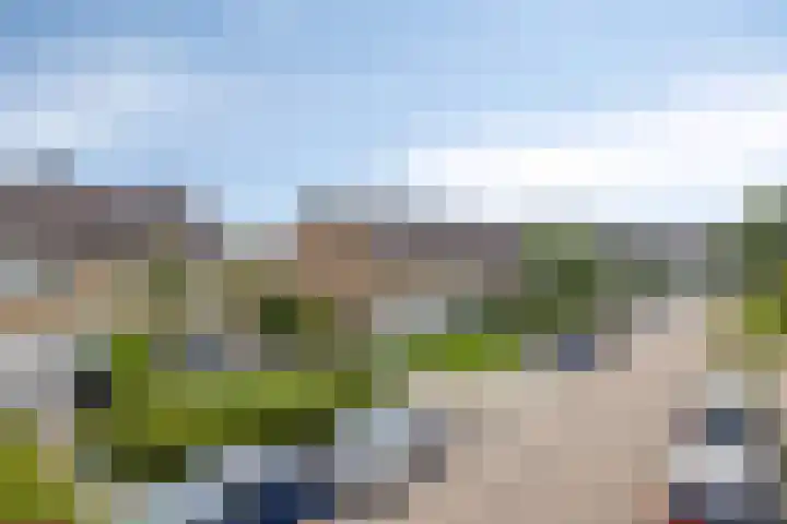 Gernaerd 21 Drachten thumbnail 6