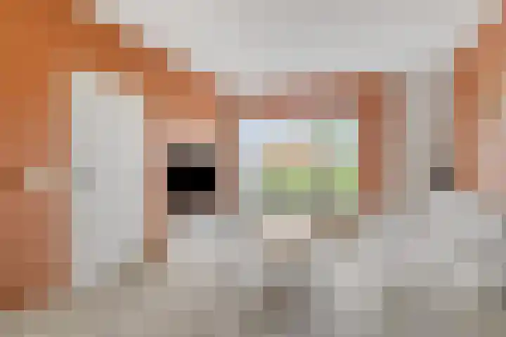 Gernaerd 21 Drachten thumbnail 9