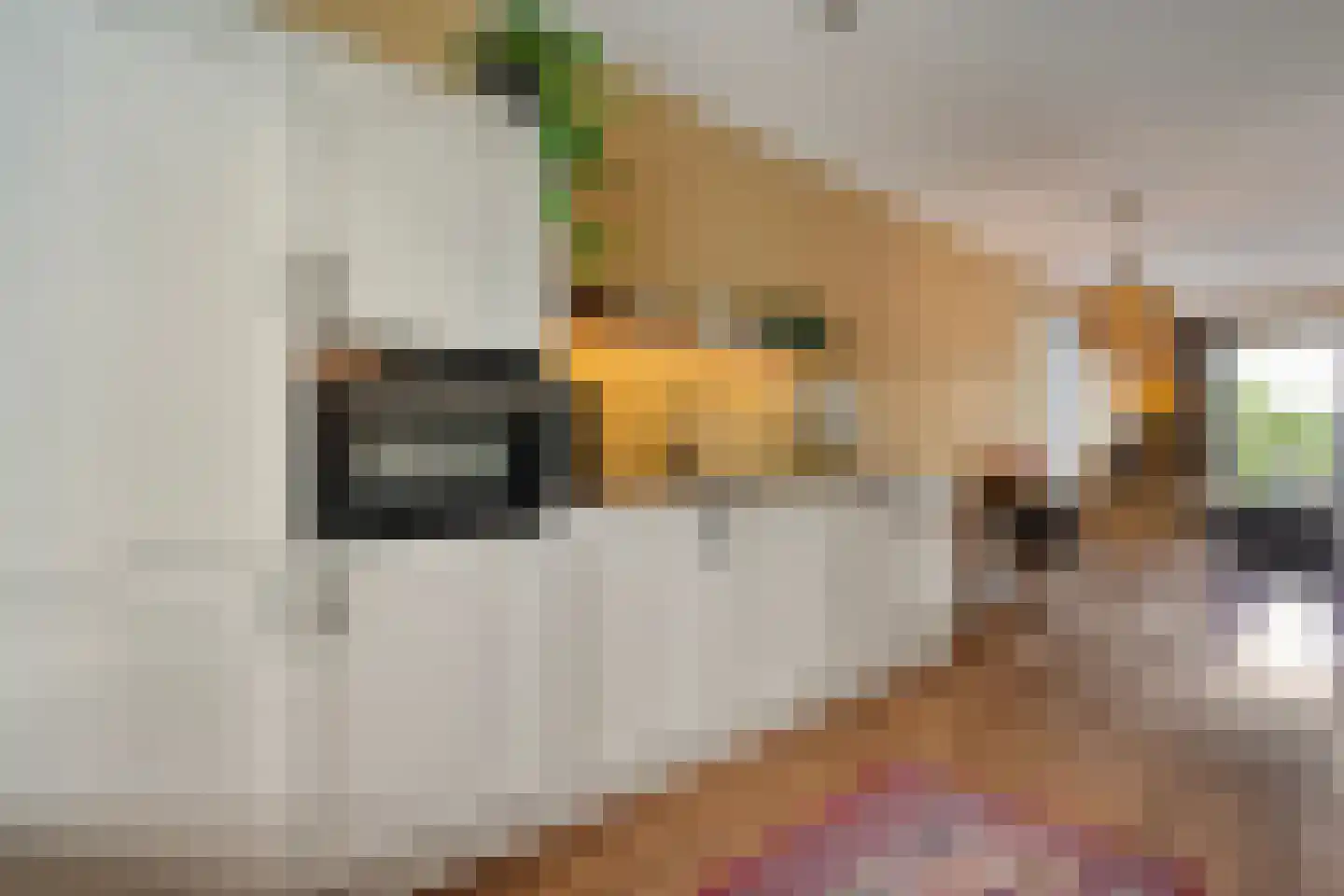Gerner 36 Raalte thumbnail 18