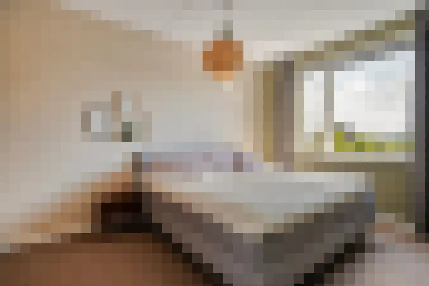 Gerner 36 Raalte thumbnail 25