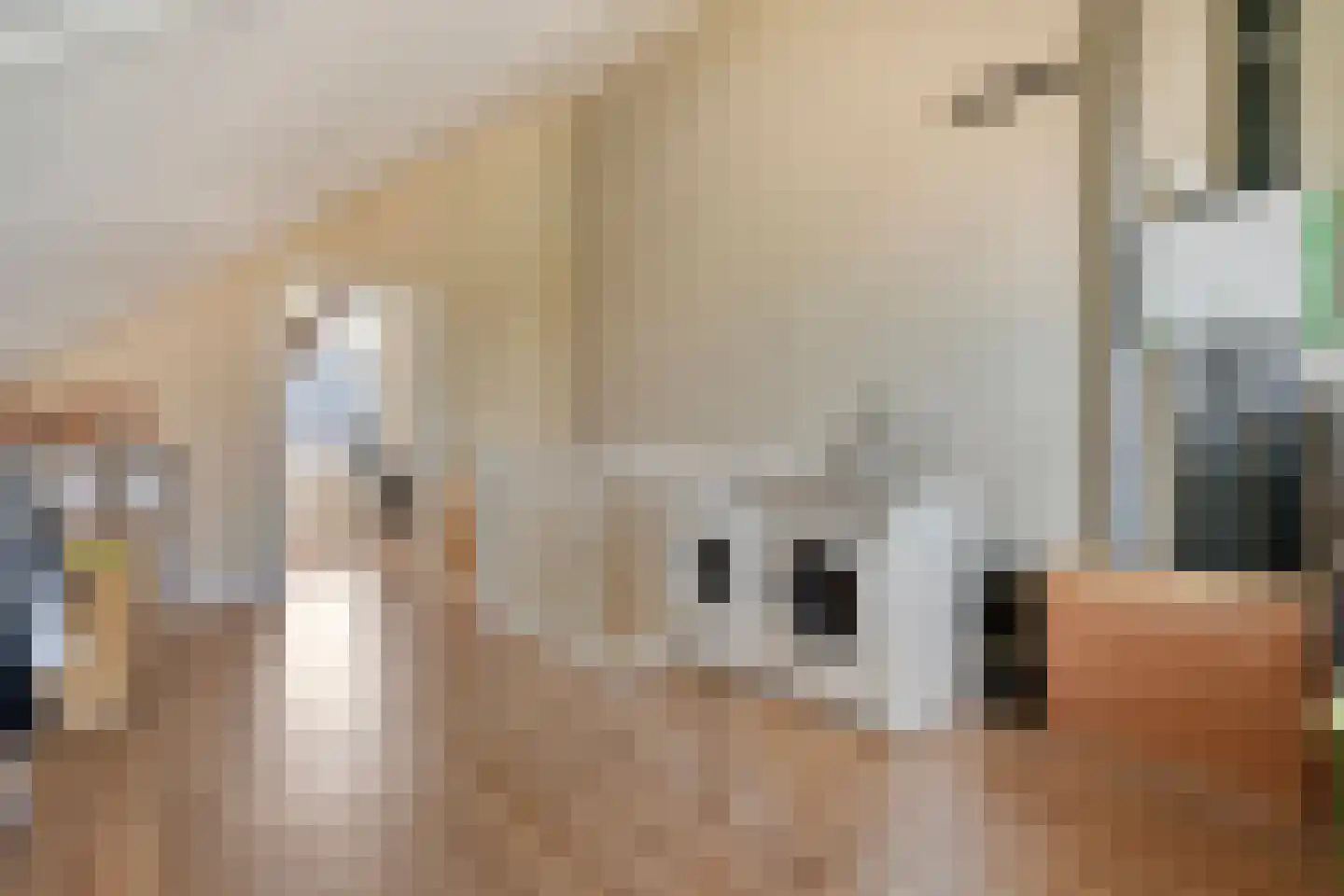 Gerner 36 Raalte thumbnail 36