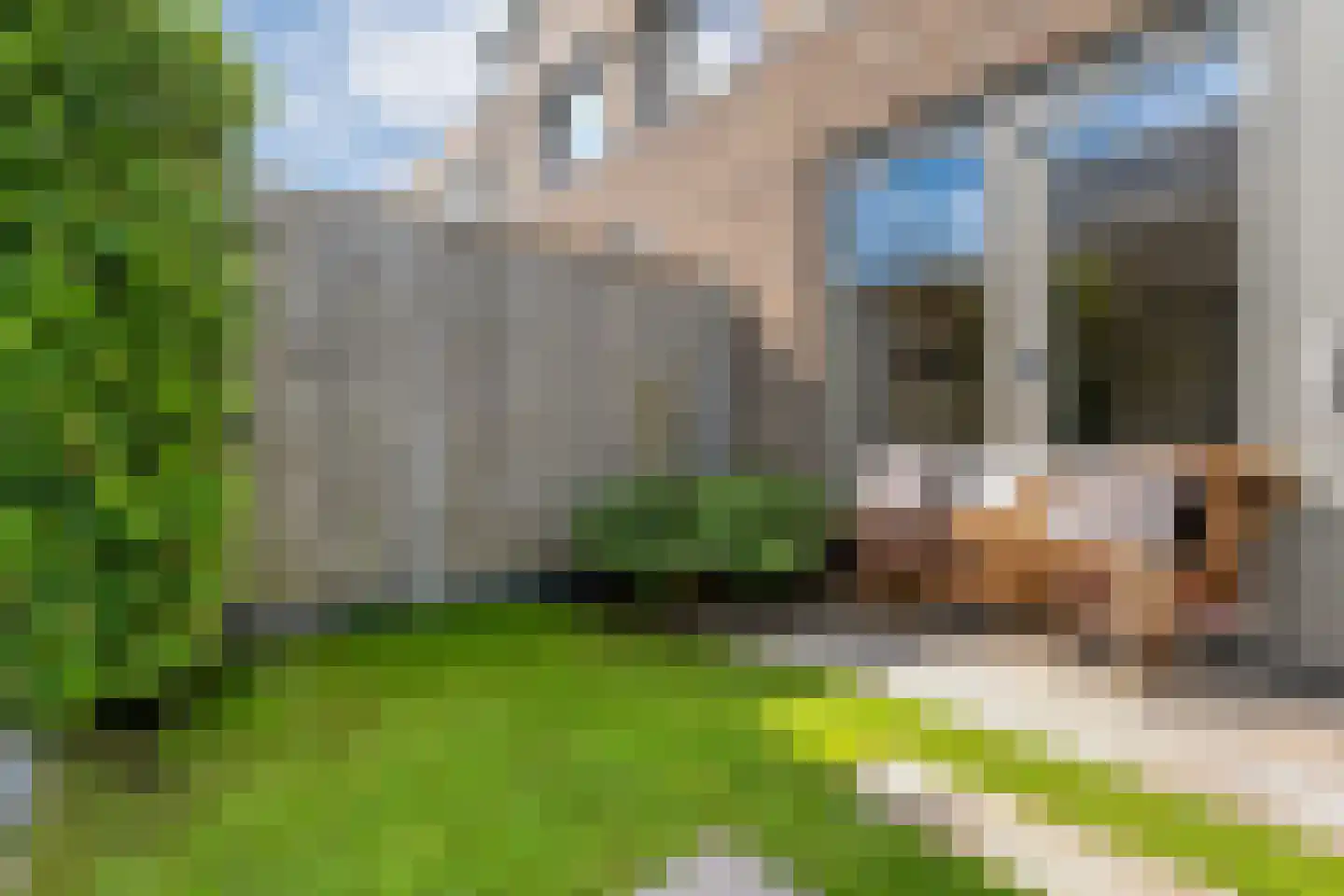 Gerner 36 Raalte thumbnail 45