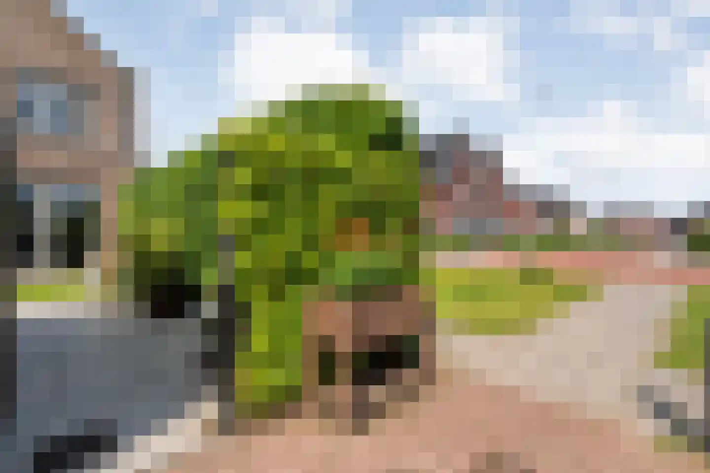Gerner 36 Raalte thumbnail 47