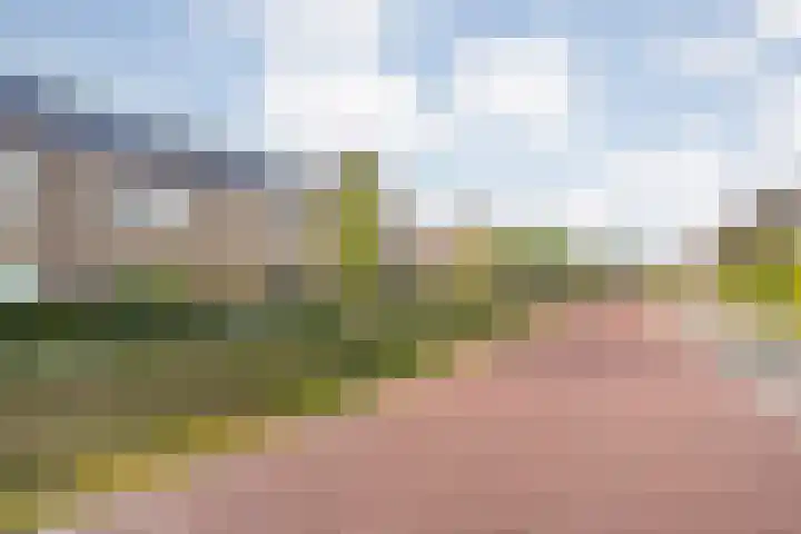 Gerner 42 Raalte thumbnail 10