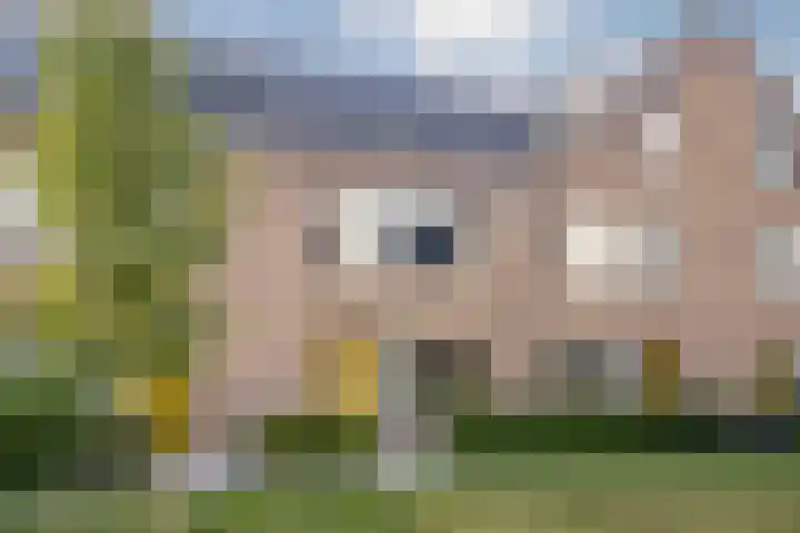 Gerner 42 Raalte thumbnail 11