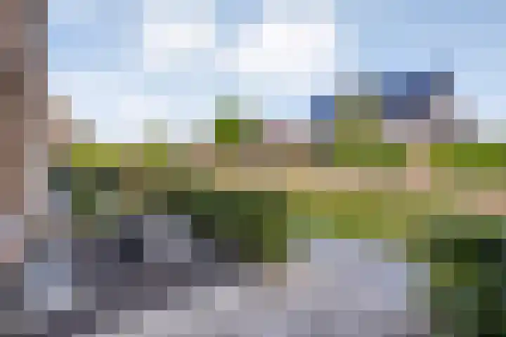 Gerner 42 Raalte thumbnail 12