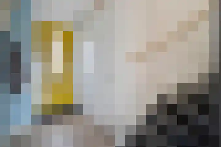 Gerner 42 Raalte thumbnail 13