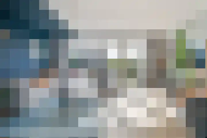 Gerner 42 Raalte thumbnail 15