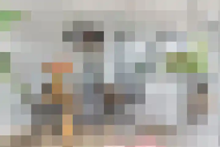 Gerner 42 Raalte thumbnail 20