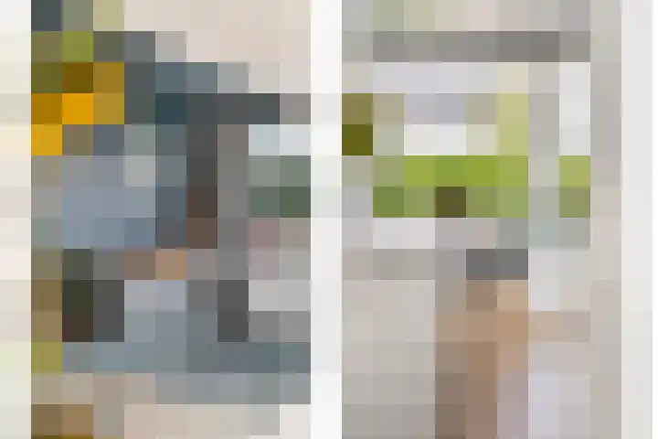 Gerner 42 Raalte thumbnail 21
