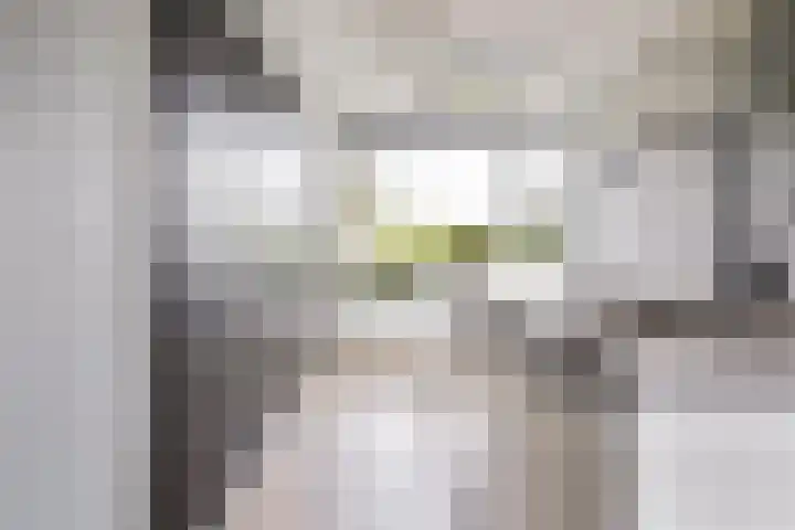Gerner 42 Raalte thumbnail 23