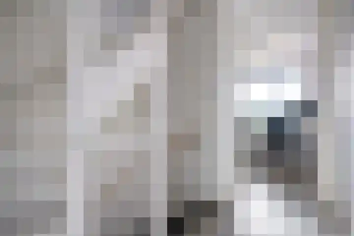 Gerner 42 Raalte thumbnail 24