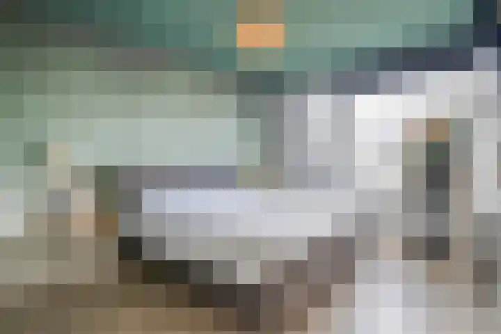 Gerner 42 Raalte thumbnail 26