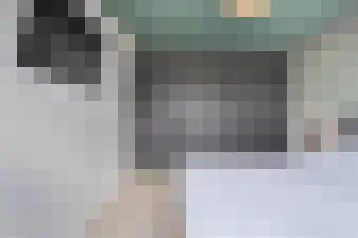 Gerner 42 Raalte thumbnail 27