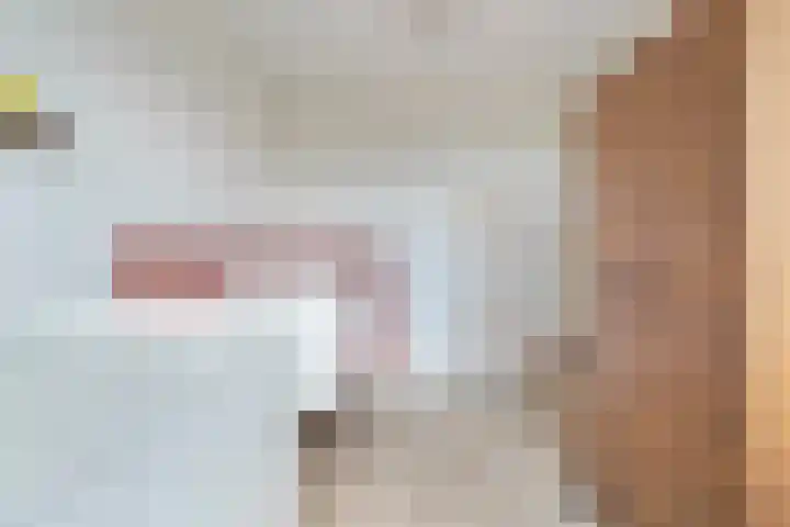 Gerner 42 Raalte thumbnail 31
